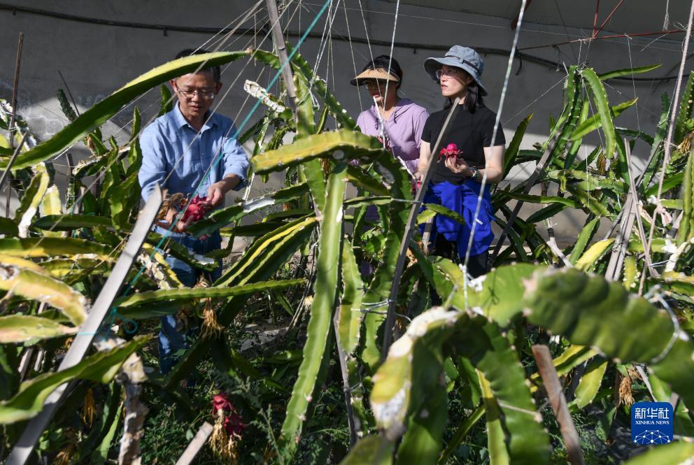 百万发手机登录平台