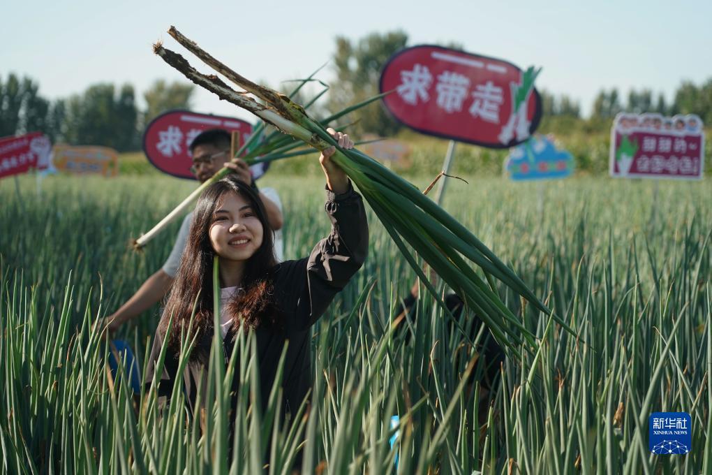 全讯至尊白菜网站